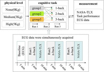 Acute combined effects of concurrent physical activities on autonomic nervous activation during cognitive tasks